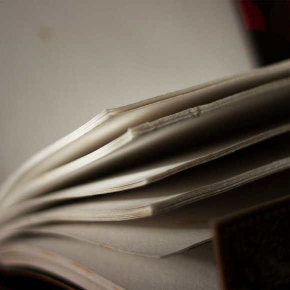 Old Raven Leather Journal - Picture 8 of 9